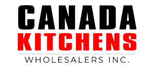 Las Vegas website technician